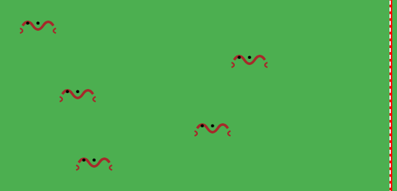 Сockroach race